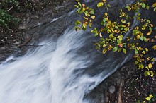 Spirito del torrente